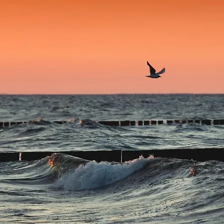 ホテル Sonneneck 3*